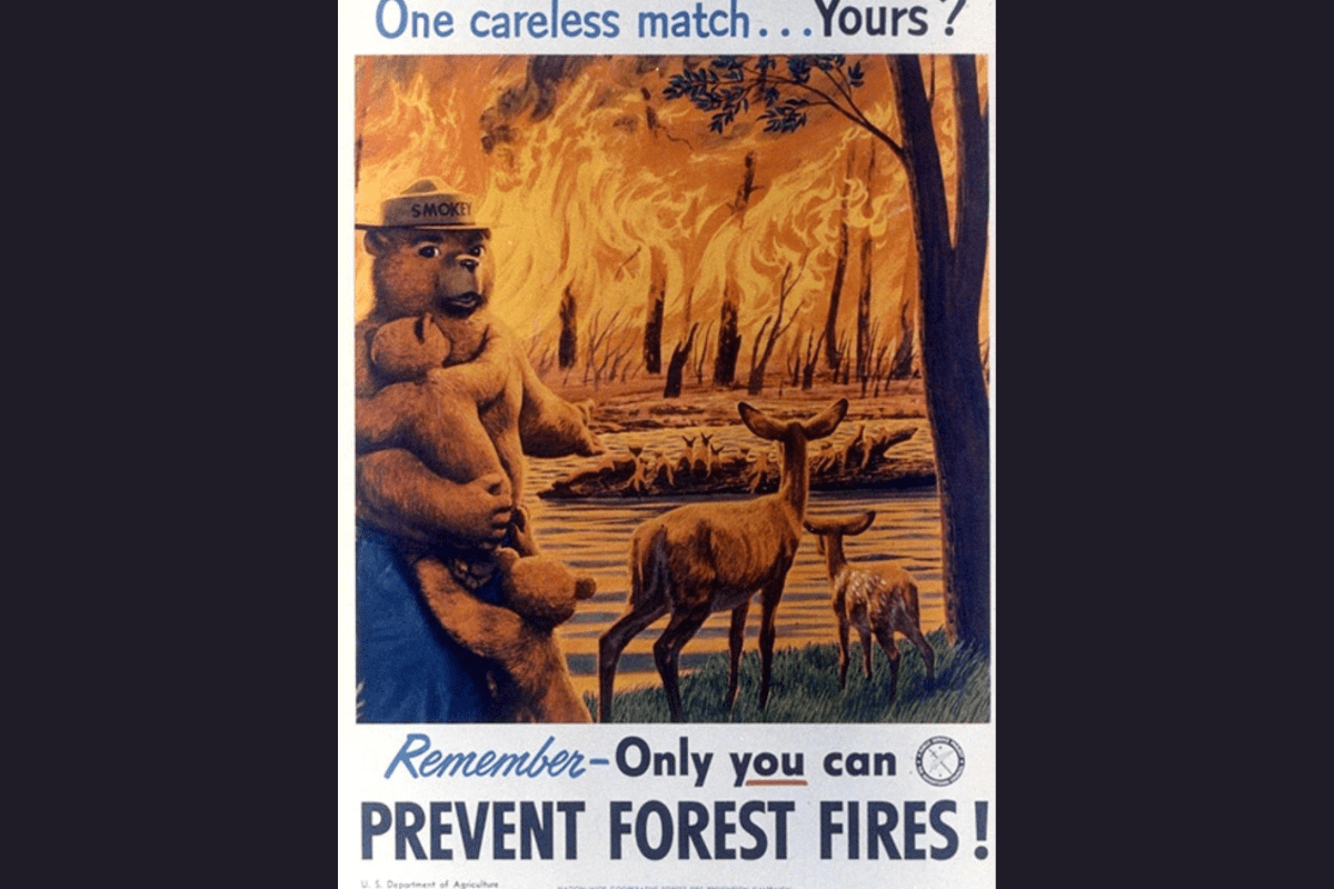 Smokey Bear posters