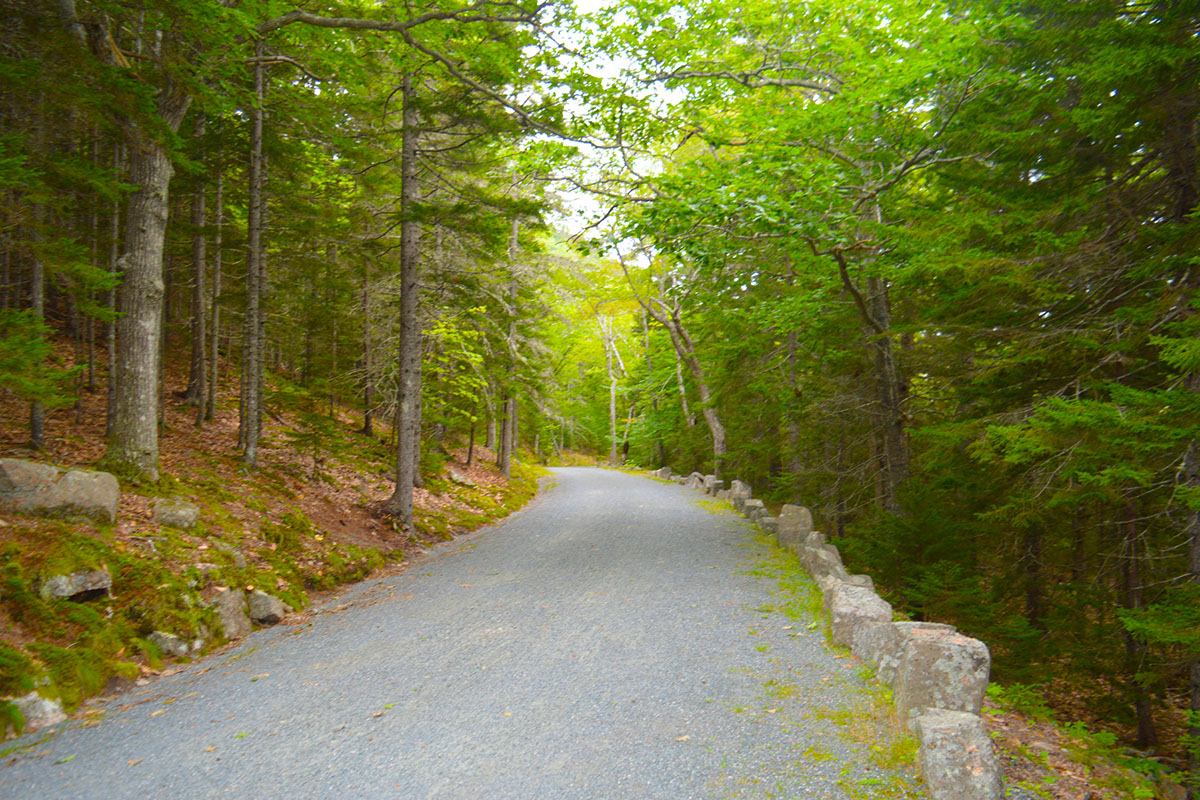 things-you-didnt-know-about-acadia-national-park