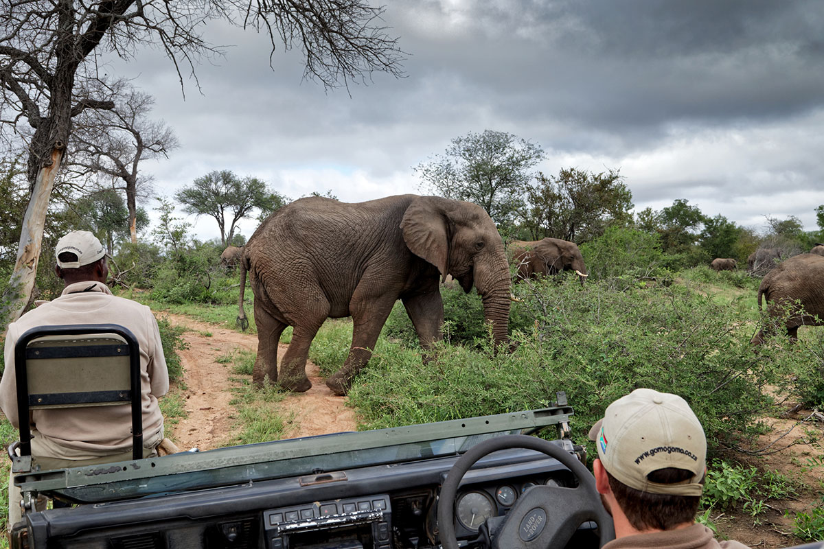 things-you-didnt-know-about-kruger-national-park