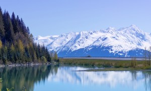 wild-alaska-the-last-frontier