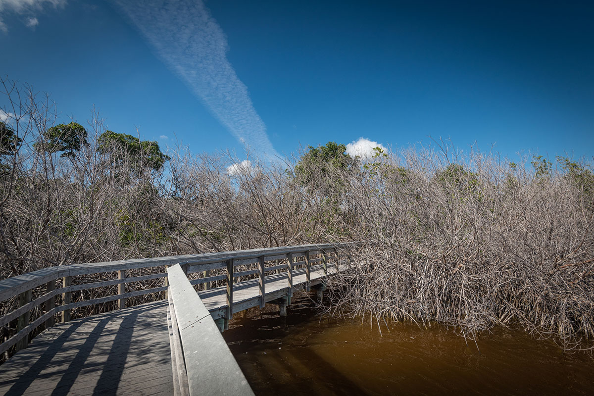 cool-things-to-see-in-Everglades-National-Park