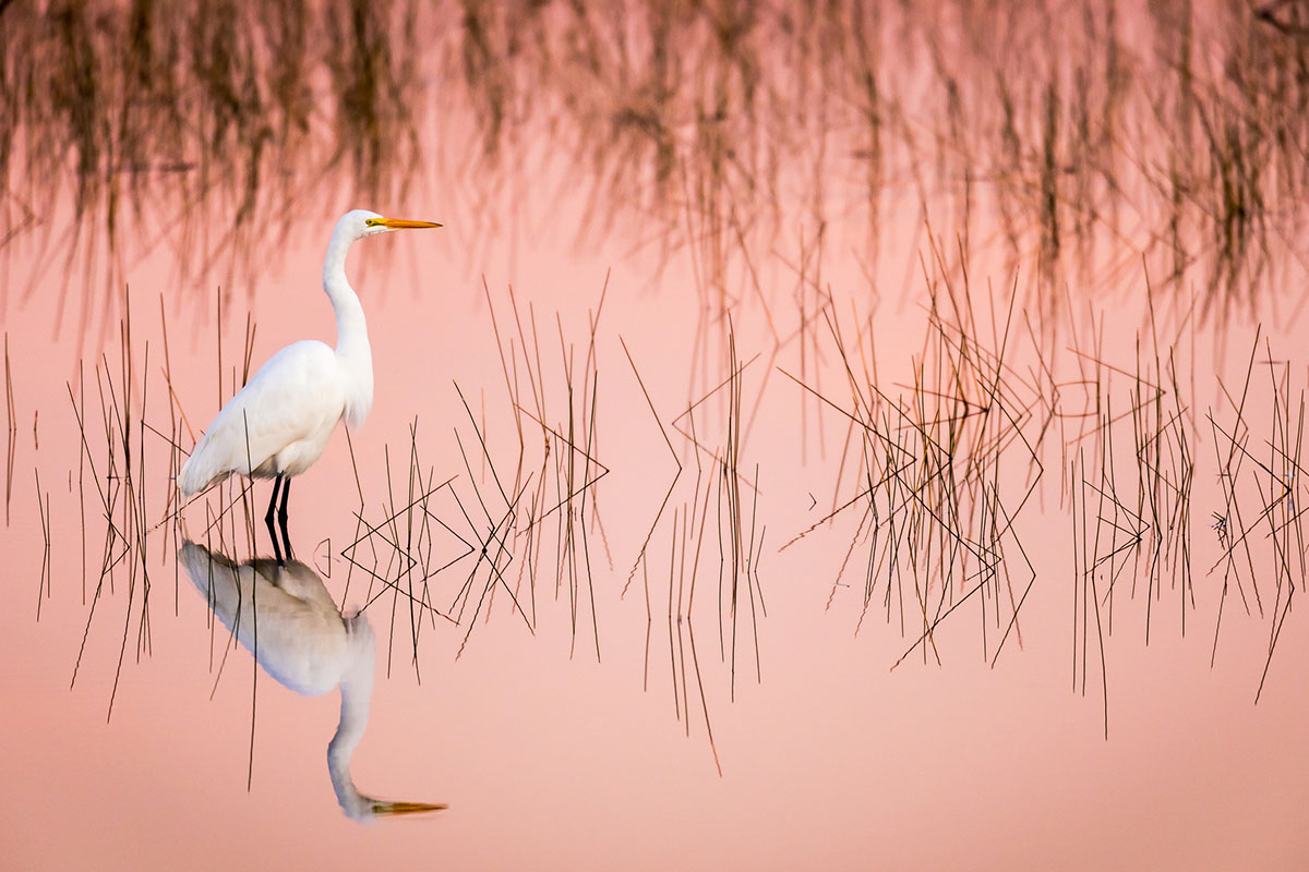 cool-things-to-see-in-Everglades-National-Park