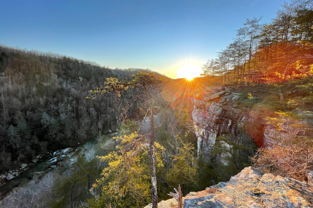 fall foliage in Tennessee