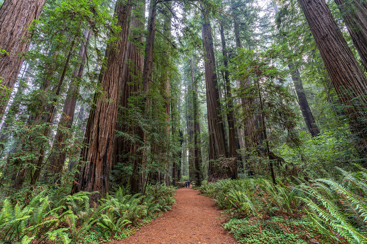 most-photographed-national-parks