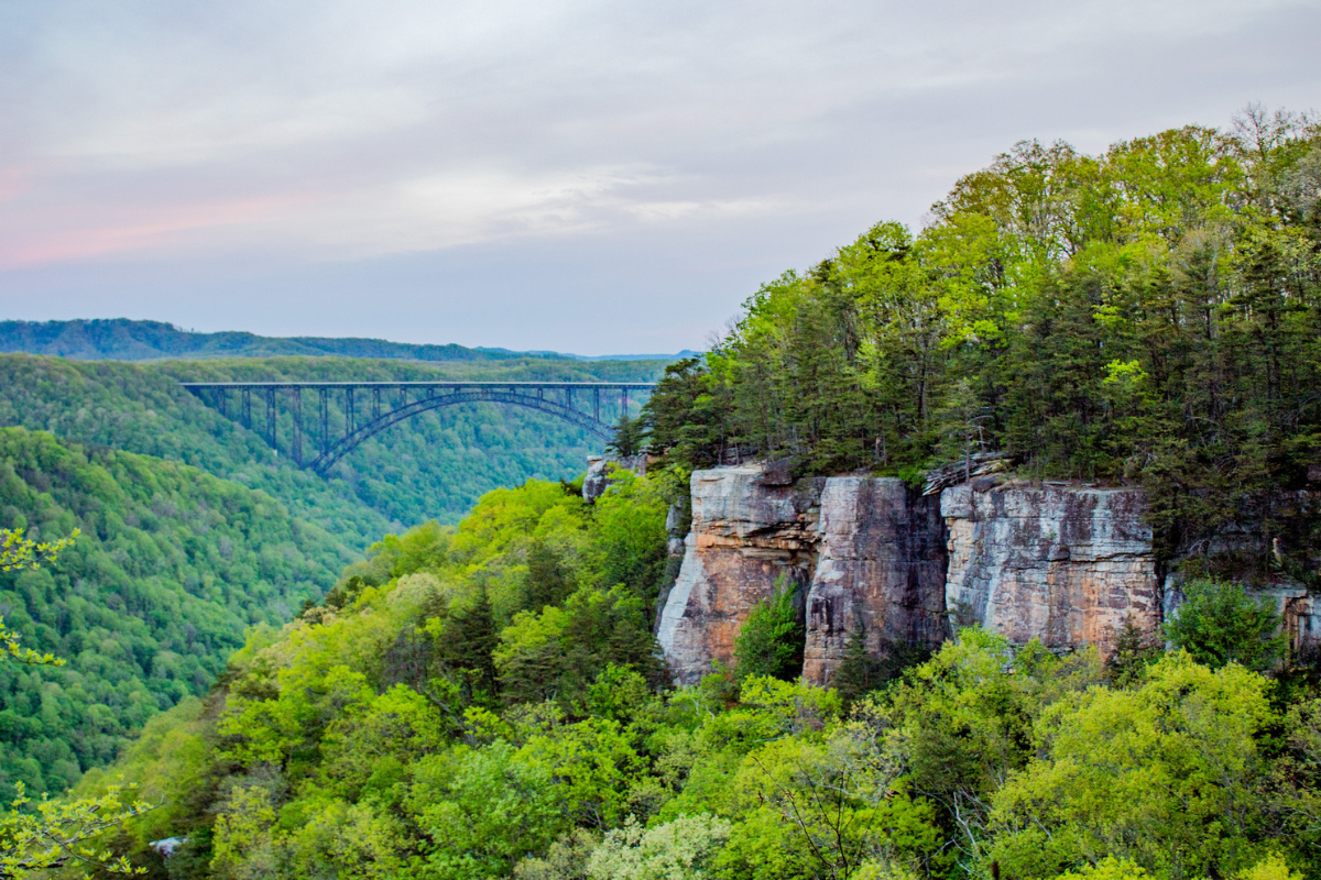 mushroom foraging in the new river gorge