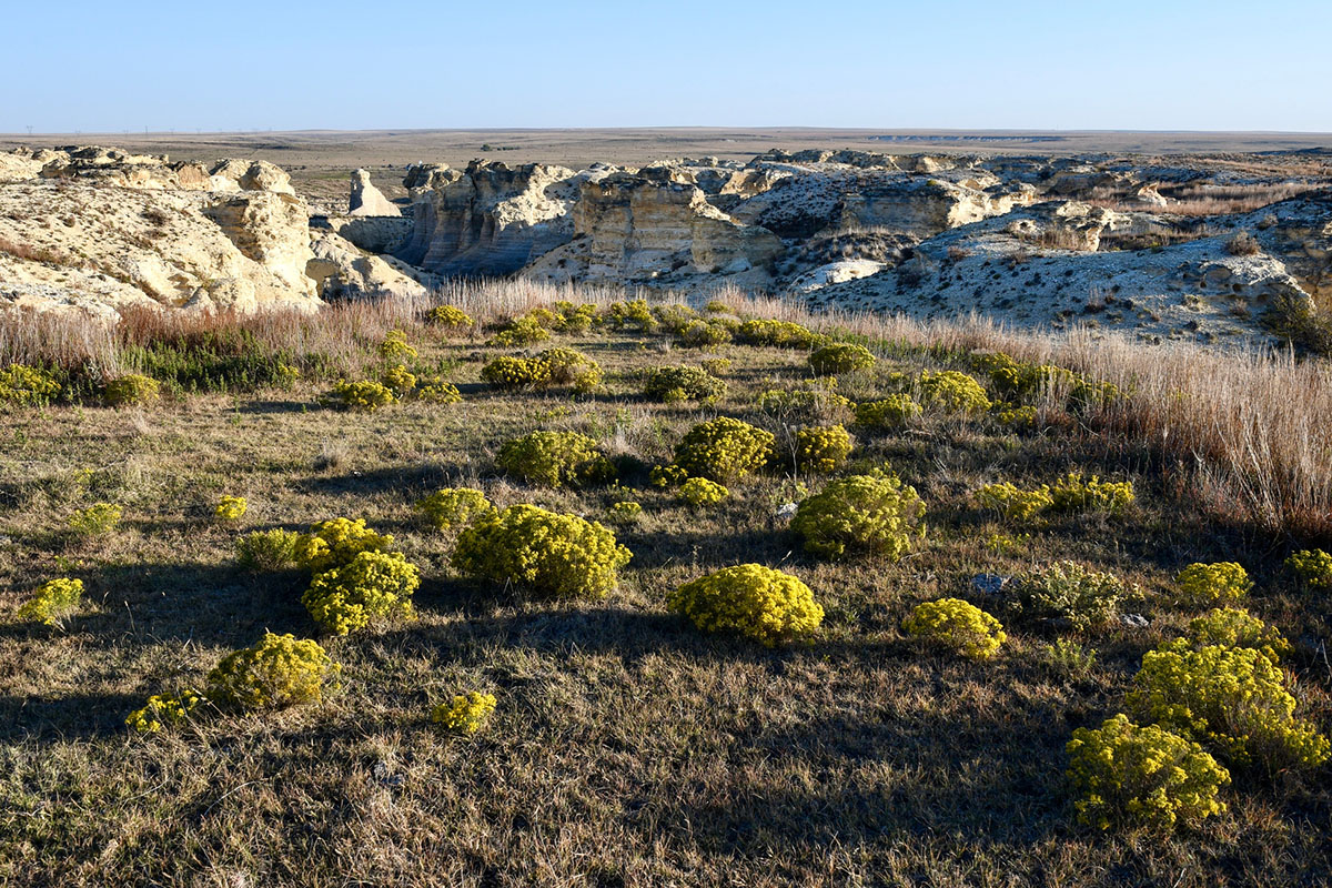 overlooked-badlands-worthy-of-roadtrips