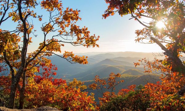 see-fall-colors-from-above