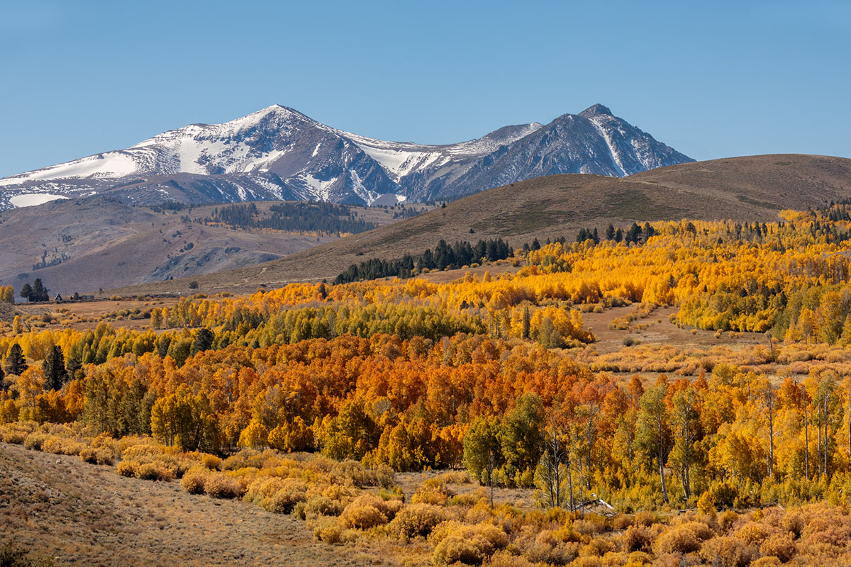 see-fall-colors-from-above