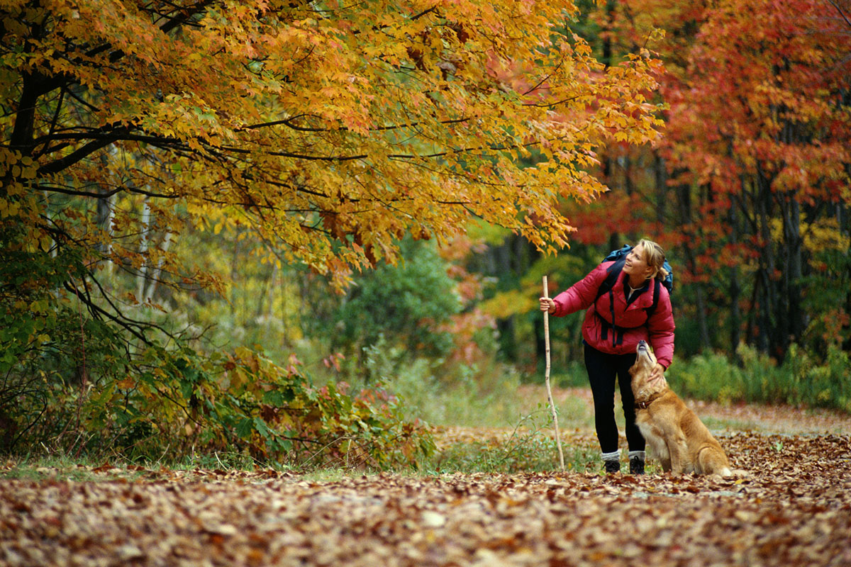 tips-for-camping-during-the-fall-months