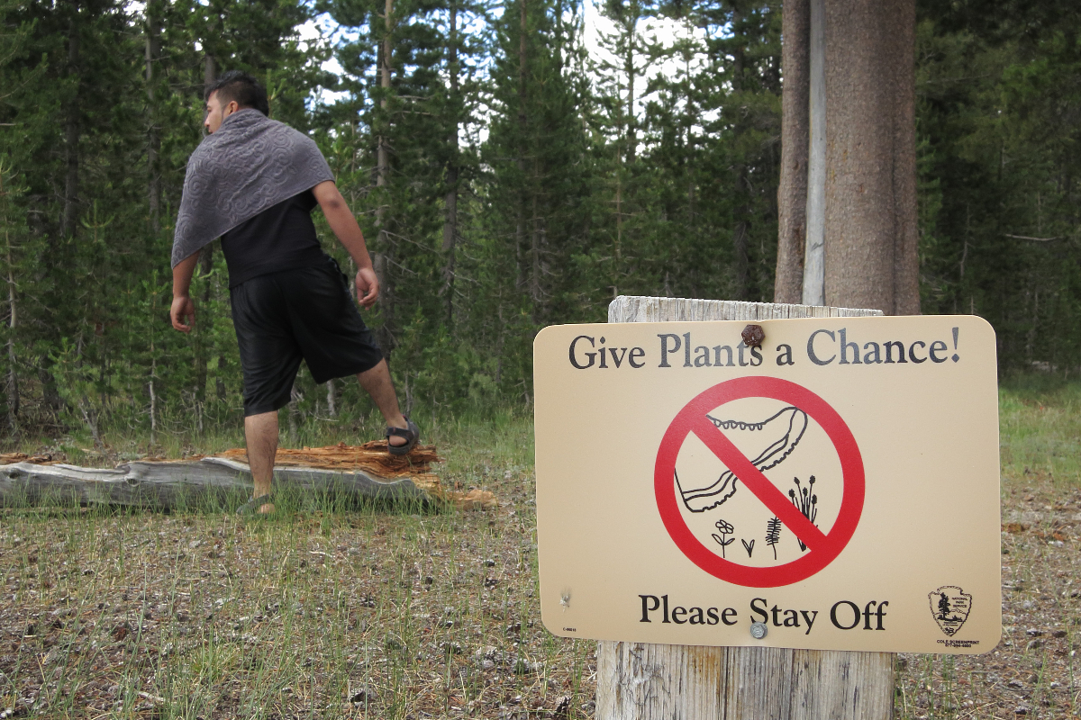 Yosemite Tourist Trap