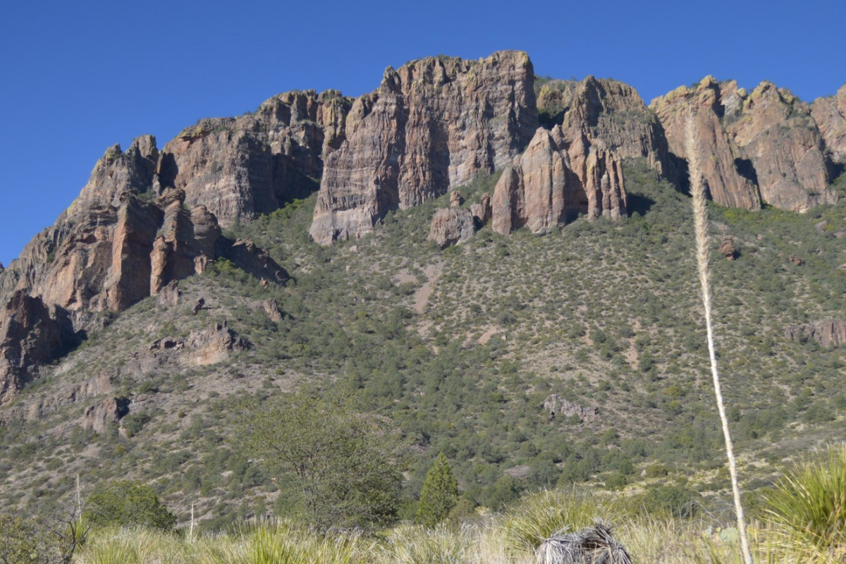 hiking in the desert