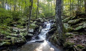 hiking-in-tennessee