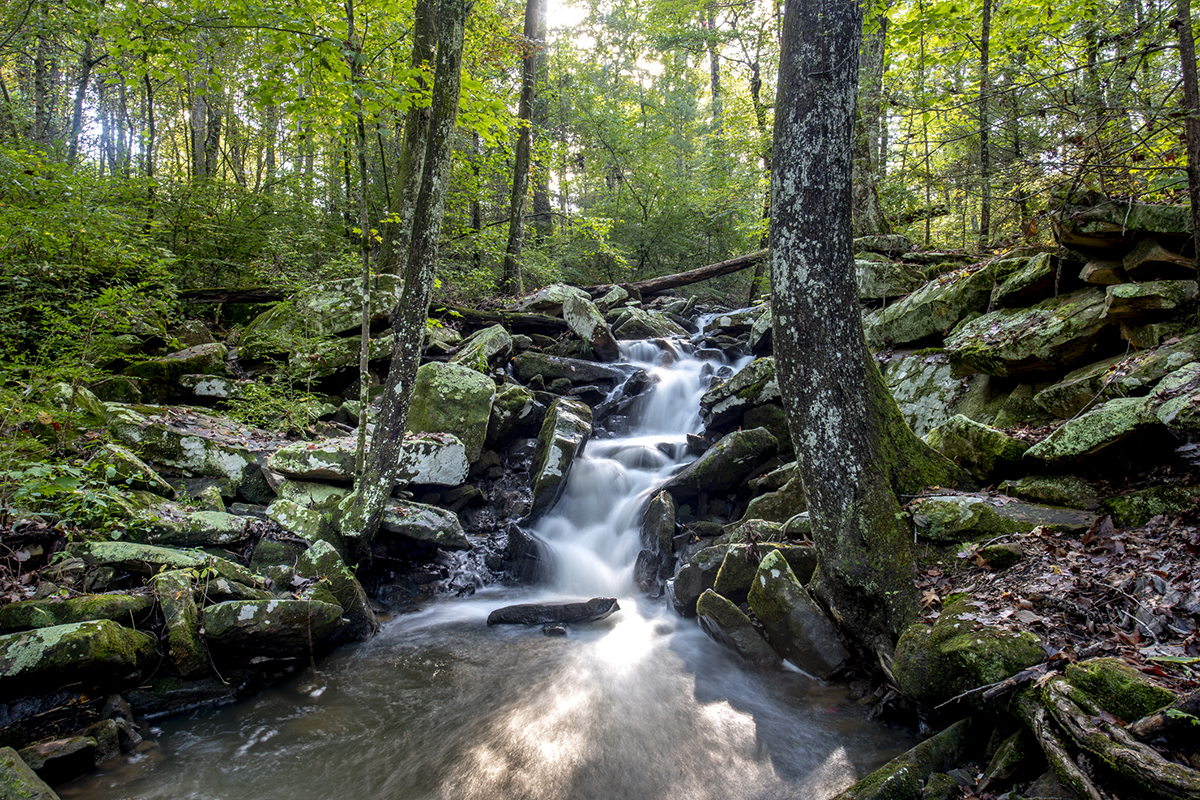 hiking-in-tennessee