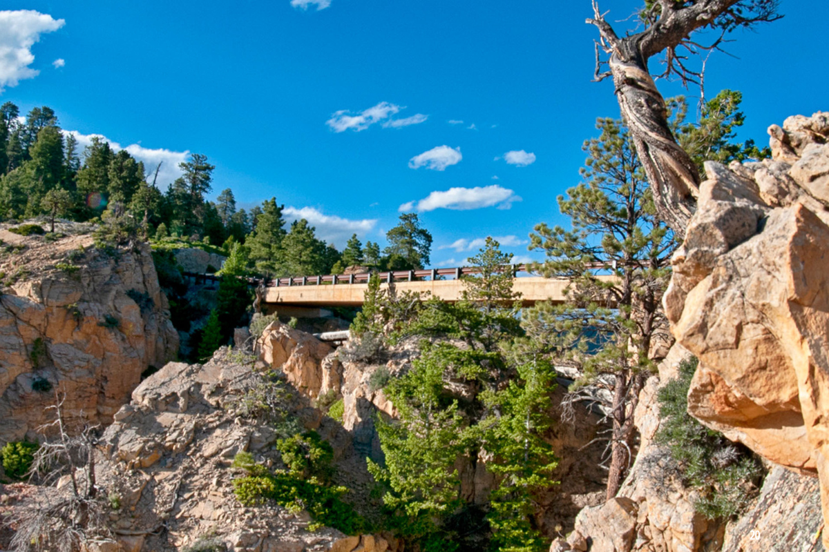 dixie national forest instead of zion