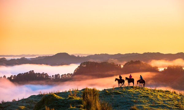 places-to-go-horseback-riding