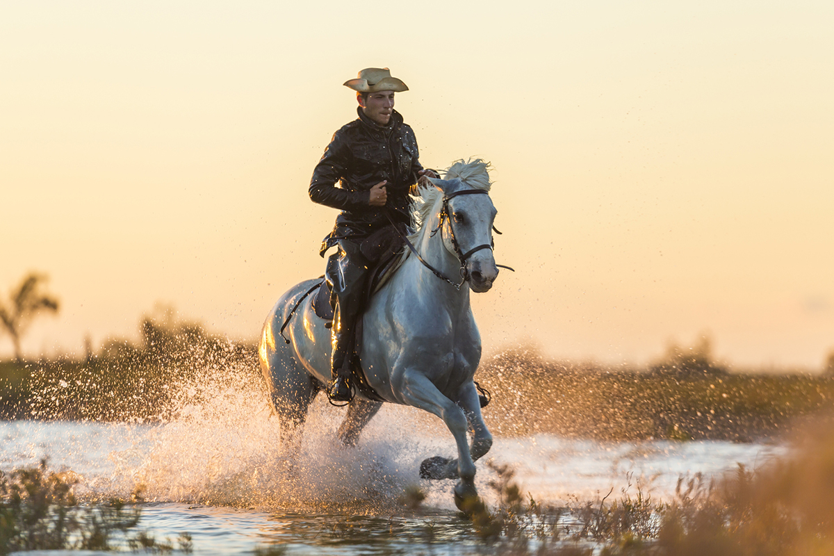 places-to-go-horseback-riding