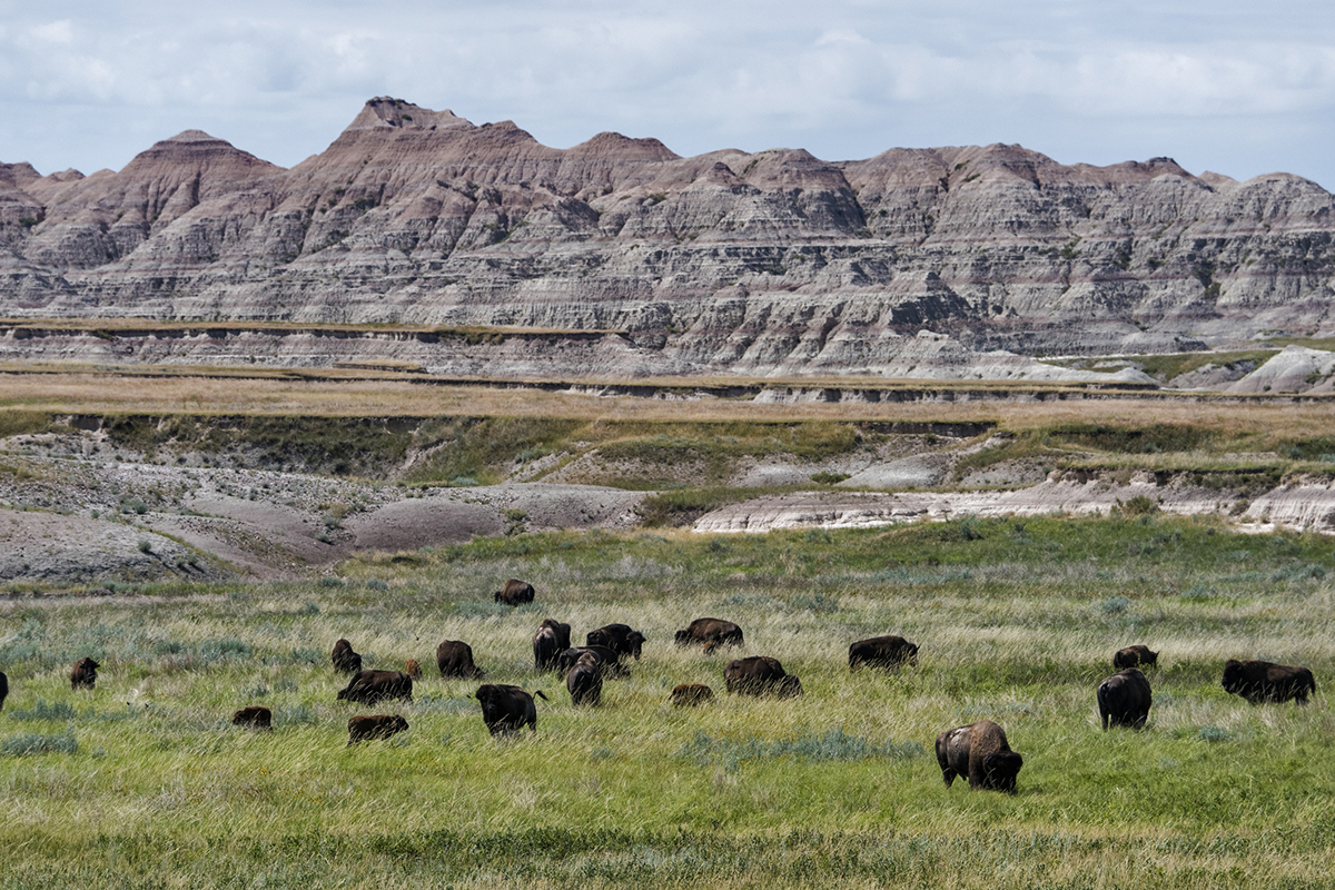 things-you-didnt-know-badlands-national-park