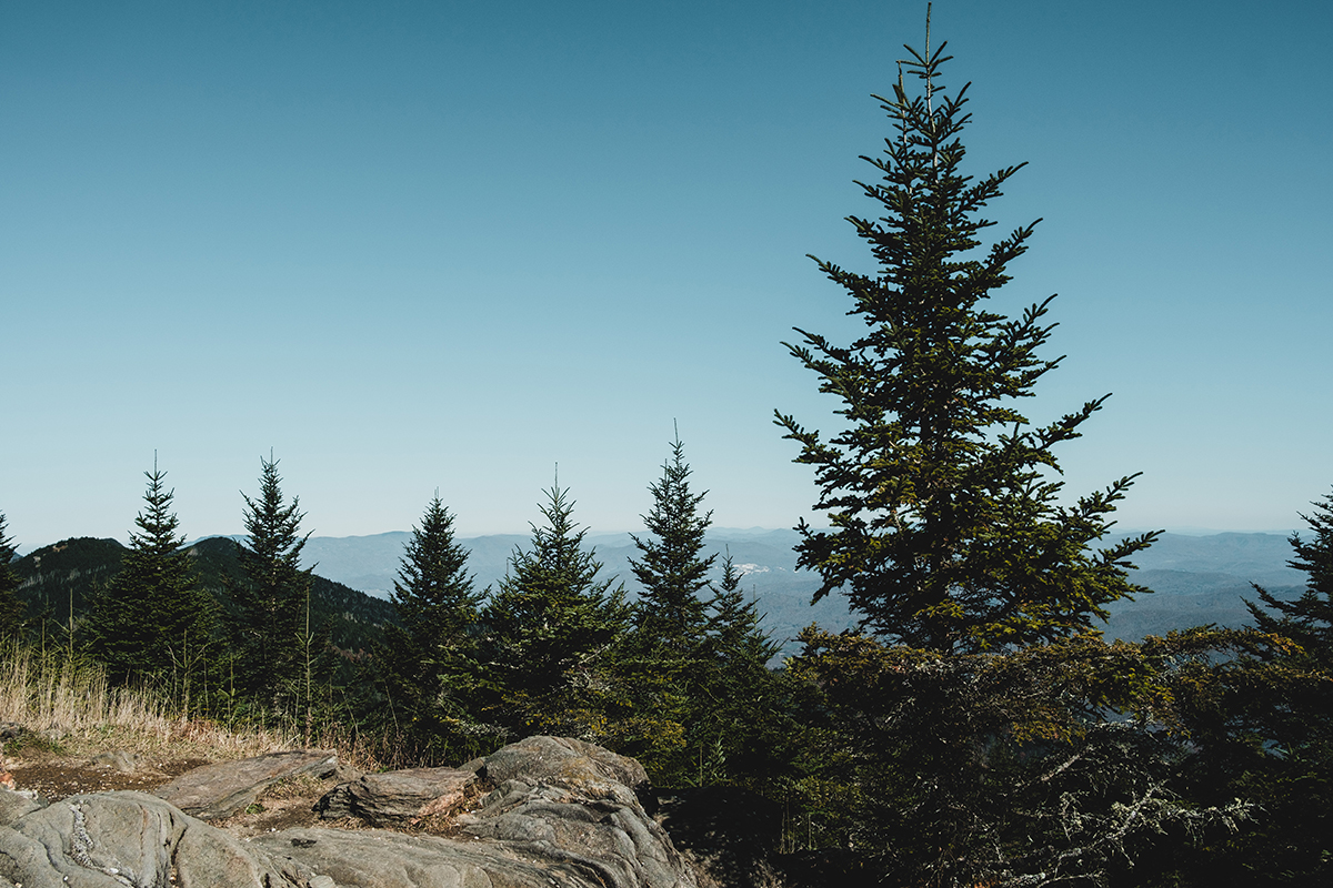 things-you-didnt-know-hiking-north-carolina