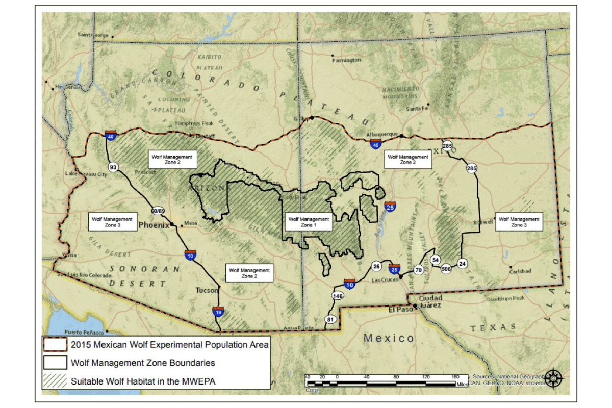 where do mexican wolves live