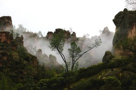 complete-guide-to-pinnacles-national-park