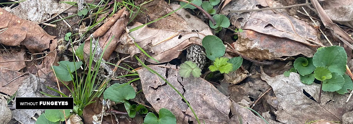 do-mushroom-hunting-glasses-actually-work