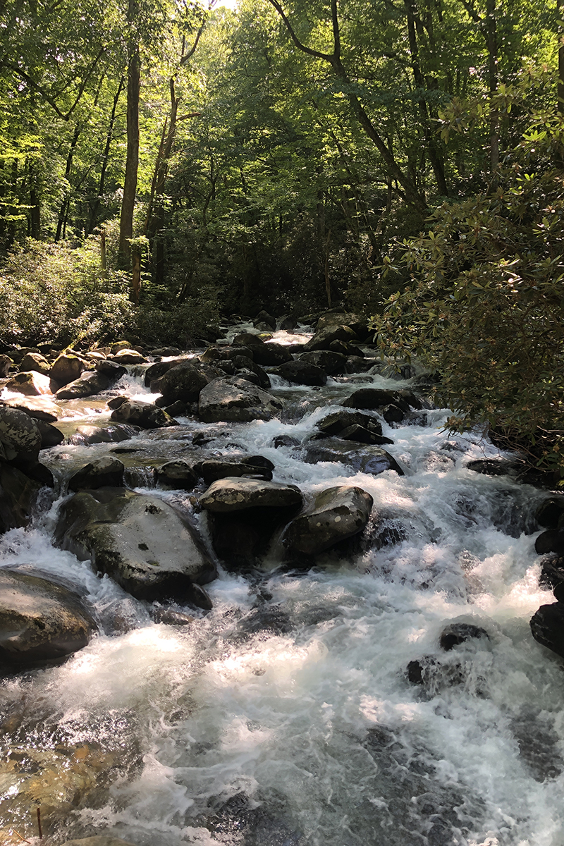 hikes-for-different-skill-levels-great-smoky-mountains