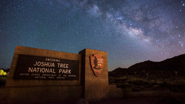 Joshua Tree