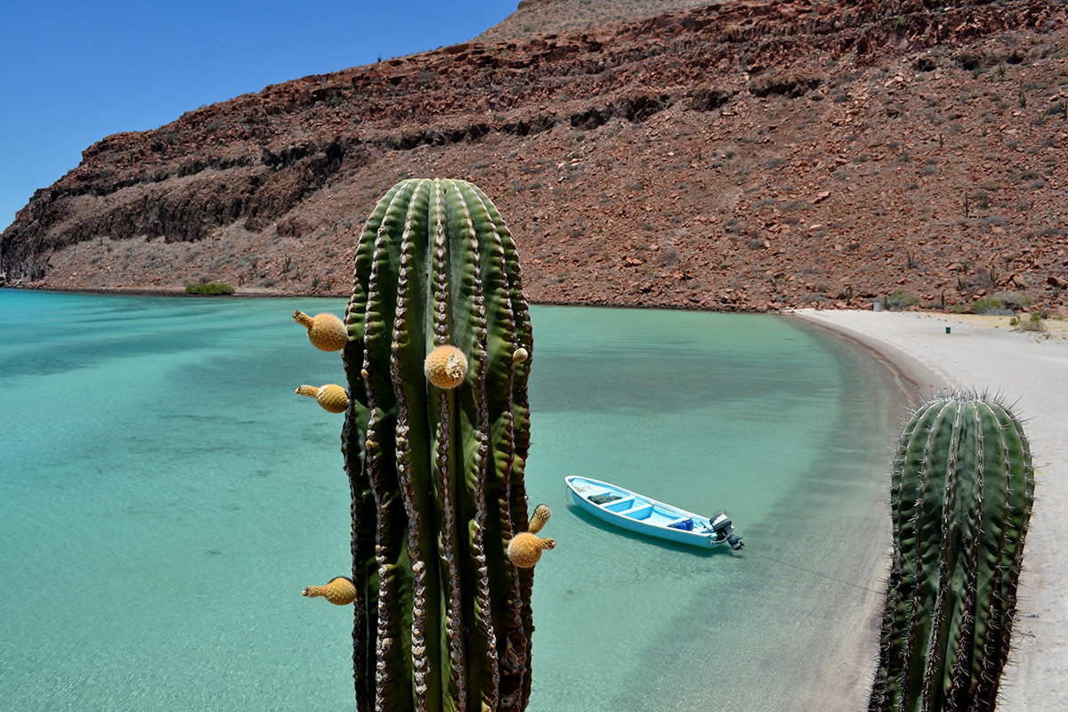 outdoor-adventure-in-loreto-baja-california-sur