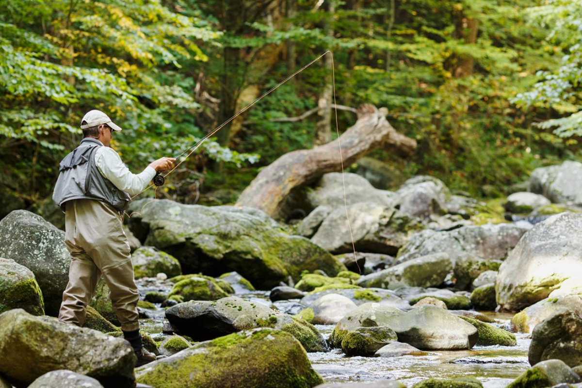 trout fishing shenandoah