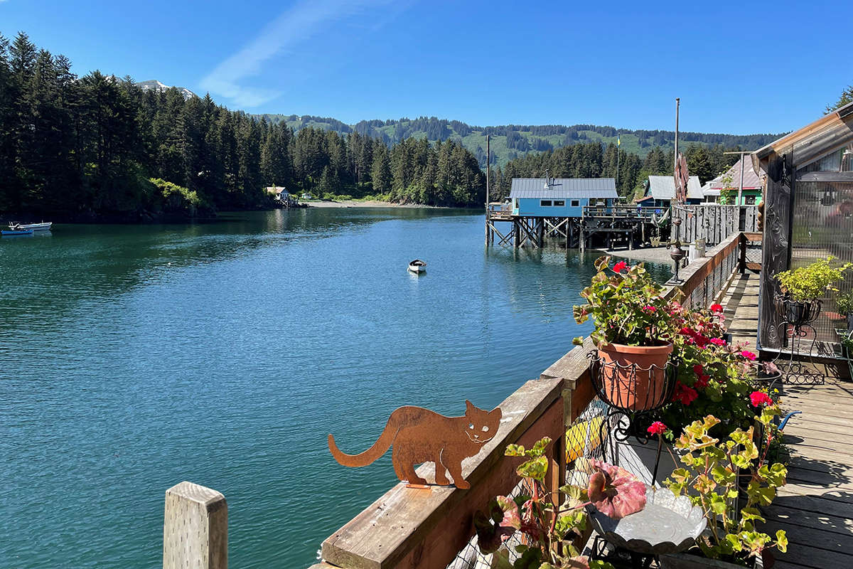 travel-to-homer-alaska-to-see-grizzly-bears