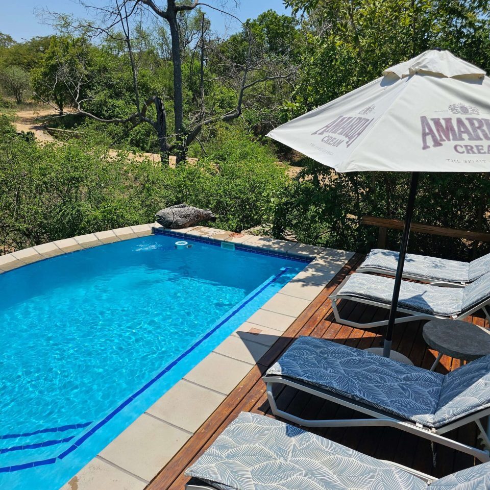 Kingfisher Safari Lodge