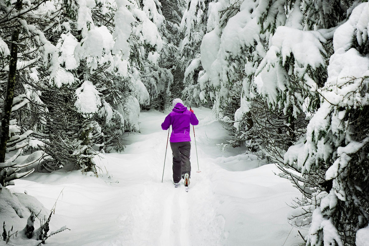 best-cross-country-skis