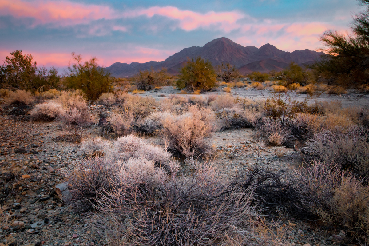 what is chuckwalla national monument