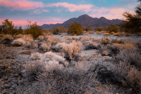 what is chuckwalla national monument