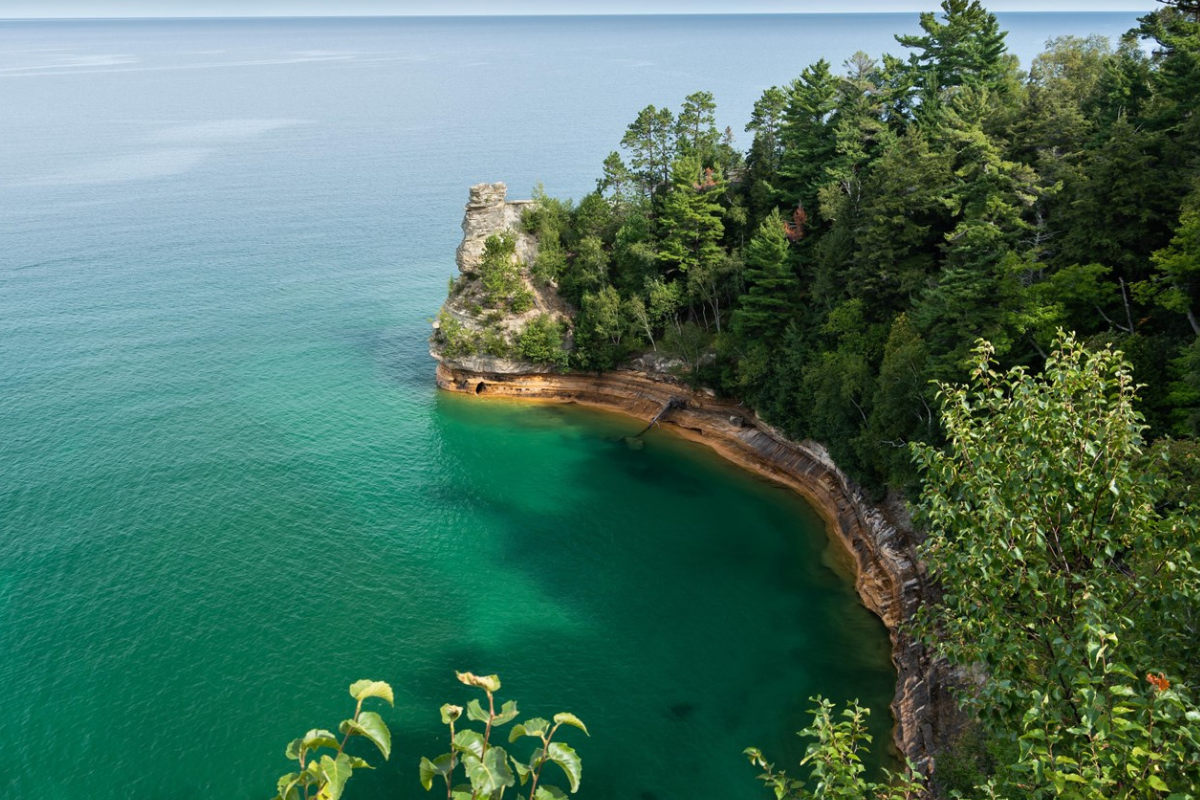 dog rescue from cliff