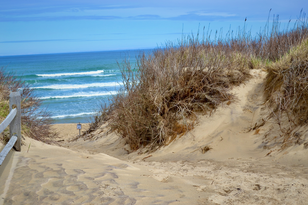 visiting cape cod