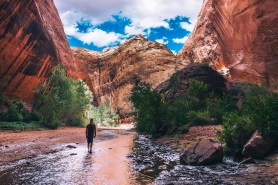 best-water-shoes-for-hiking