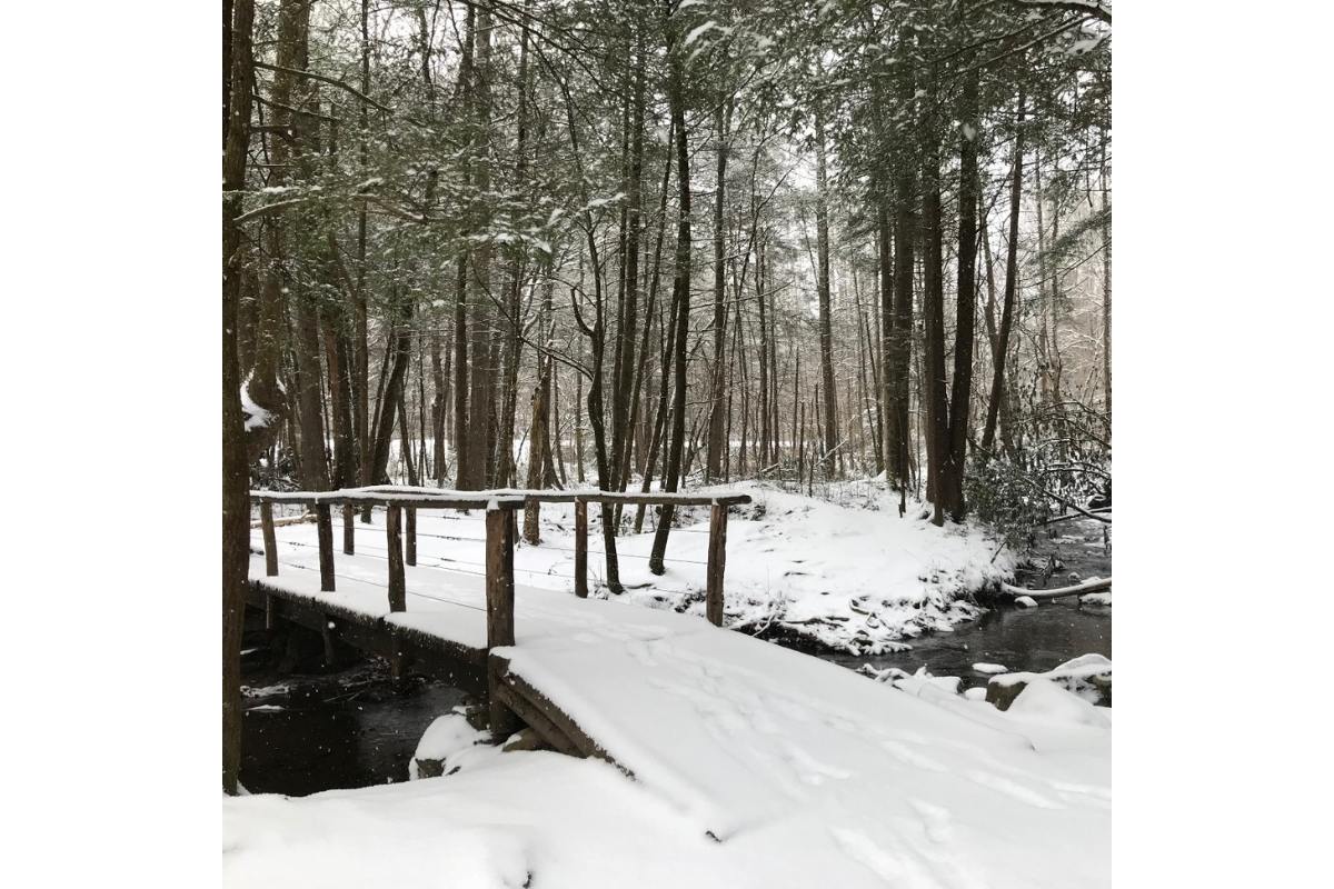 GSMNP snow