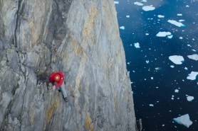 Alex Honnold