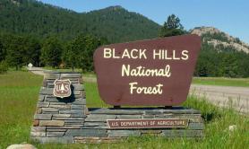 Black Hills National Forest