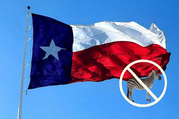 Texas flag