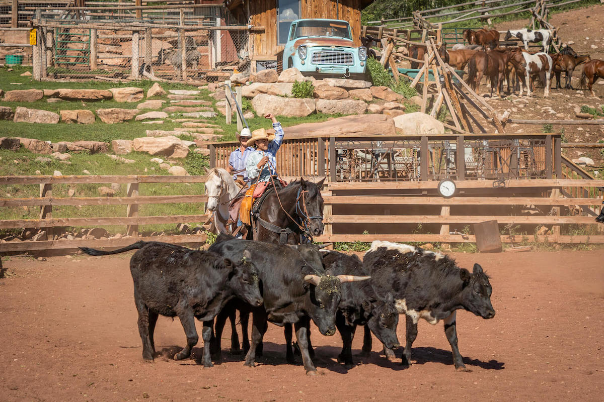 dude ranch colorado