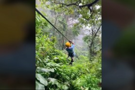 kid runs into sloth on zipline